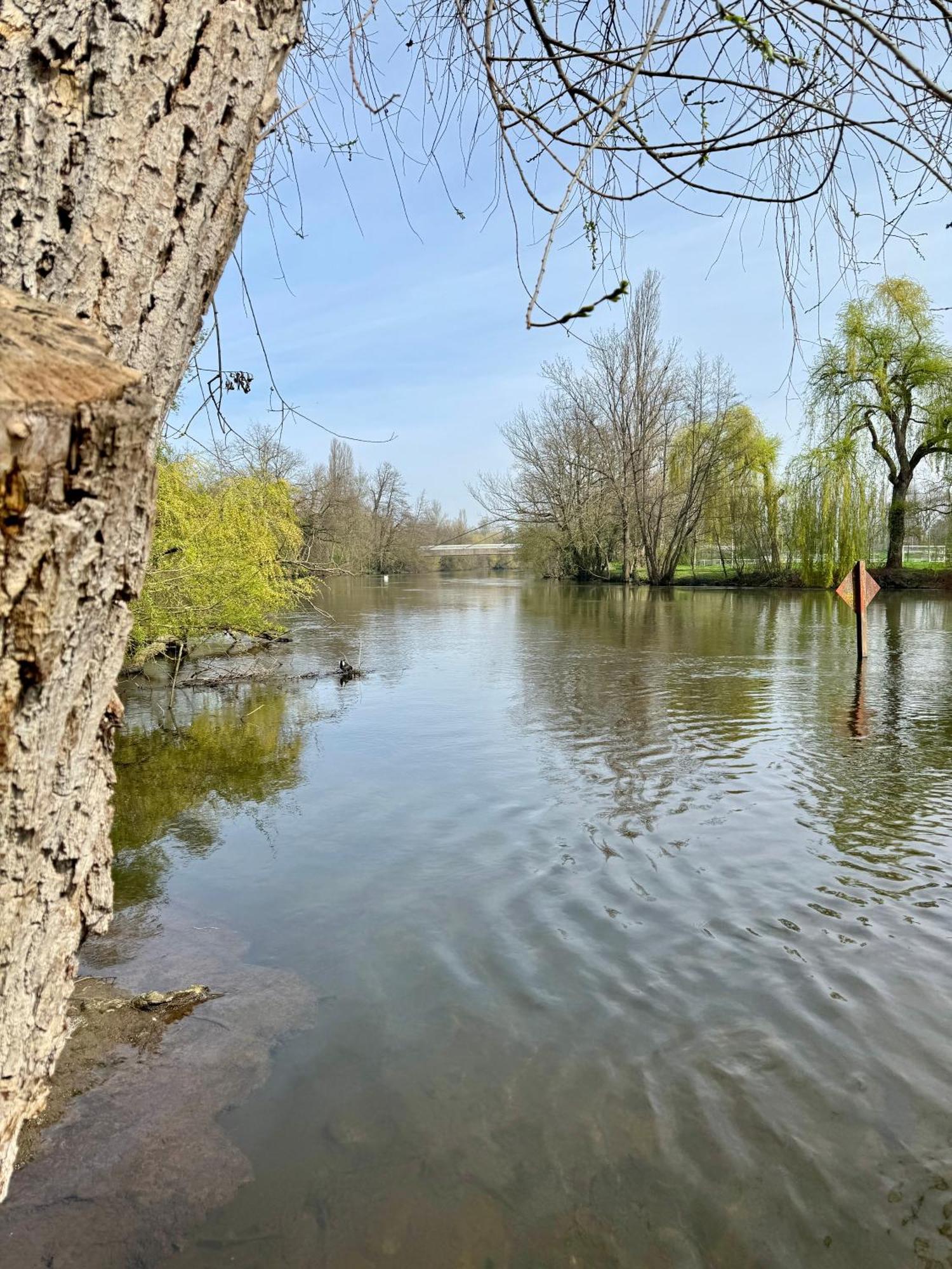 Strasbourg, Appartement Cosy Au Bord De L Eau Exterior foto